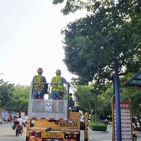 路灯管理所维护一队工作周报（2024.08.14-2024.08.20）