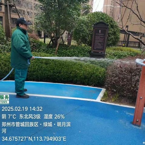 绿化入职一周年：守护城市绿意的点滴