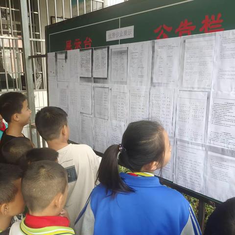 不负秋日好时光，优秀作业展风采