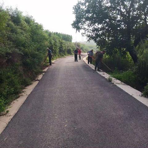 网格员组织村民清理路边杂草