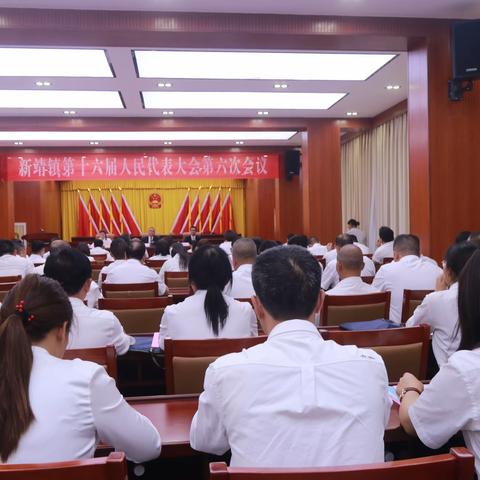 凝心聚力绘蓝图   砥砺奋进谱新篇——新靖镇第十六届人民代表大会第六次会议胜利召开