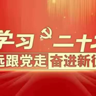 【微宣讲】认真学习宣传贯彻党的二十大精神——许昌市郊碾上小学《学习二十大永远跟党走》主题宣讲