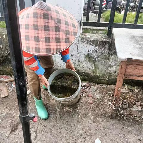 新市村持续开展翻盆倒罐清除积水治理蚊虫孳生地活动
