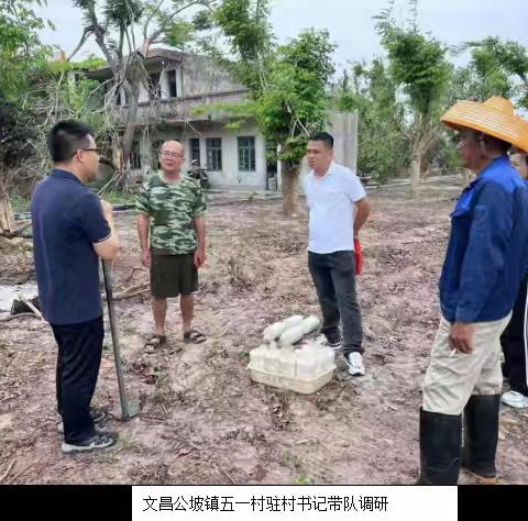 风雨过后见彩虹：文昌公坡镇的产业振兴之路