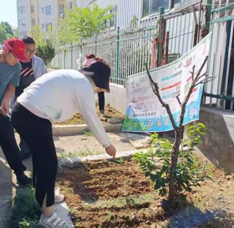 汶源街道金鼎社区开展专项治理和清理私栽乱种行动