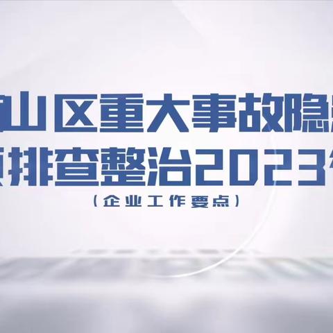 南山区重大事故隐患专项排查整治工作学习