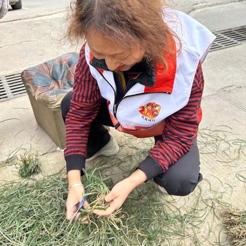 添一抹新绿，美一方家园——林业厅社区联合物业组织开展种草活动