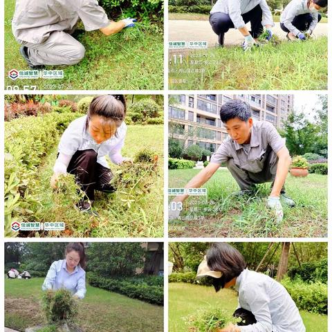 秀山信达城物业服务中心7月份工作简报