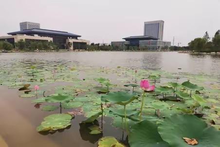 梁山县文化馆在全市数字文化馆建设培训班上作经验交流发言