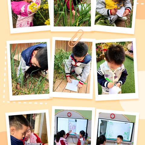 丰景雅苑幼儿园-中二班 四月主题课程-《我们的城市》