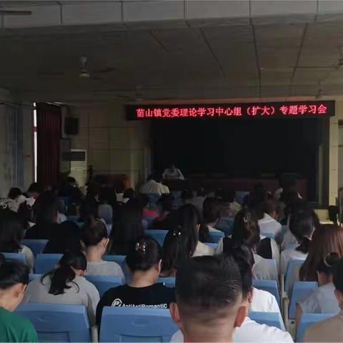 苗山镇党委理论学习中心组（扩大）开展习近平法治思想专题学习