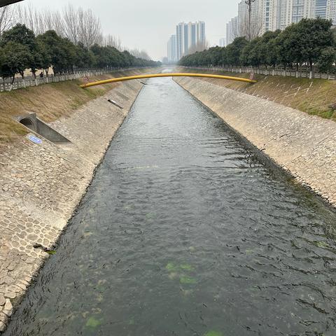 守护碧水清流，绘就生态画卷 漳浒寨街道开展节后巡河工作