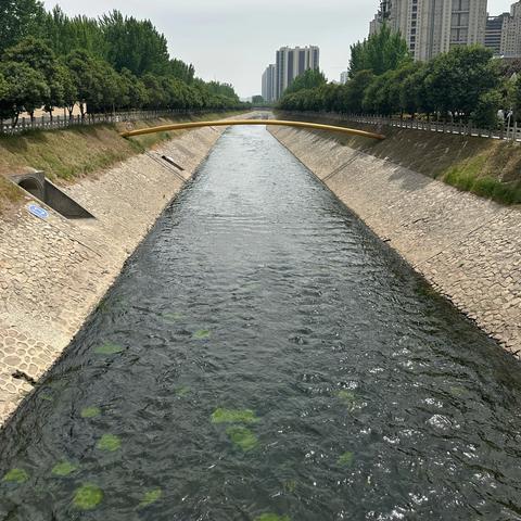 漳浒巡河记：碧波荡漾处，共绘生态春