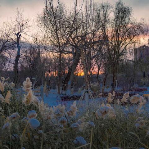 2023年冬季的第一场雪