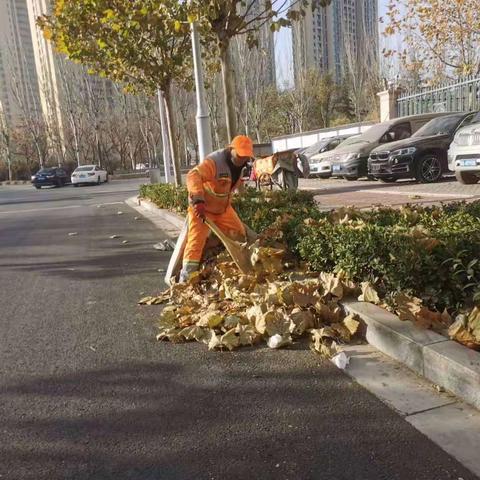迎战“落叶潮” 保障环境洁