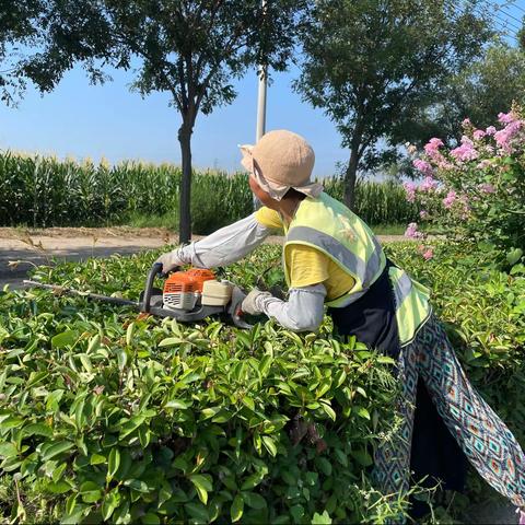 祥符区“三化、绿化”指挥部日常