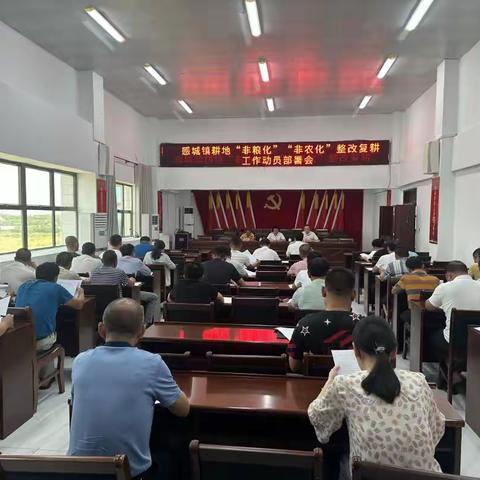坚决保护耕地红线，防止耕地“非粮化”