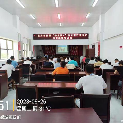东方市豇豆“防虫网+”技术暨豇豆生产技术规程培训班