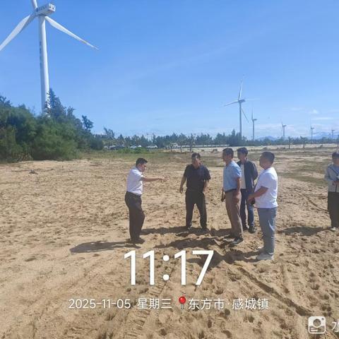 筑牢蓝色屏障 守护绿色长城 ——王飞副市长赴感城镇巡查海防林建设纪实