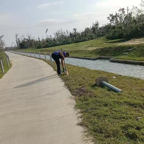 南山村 ﻿共筑美好家园——六水共治在行动 ﻿（二月份）