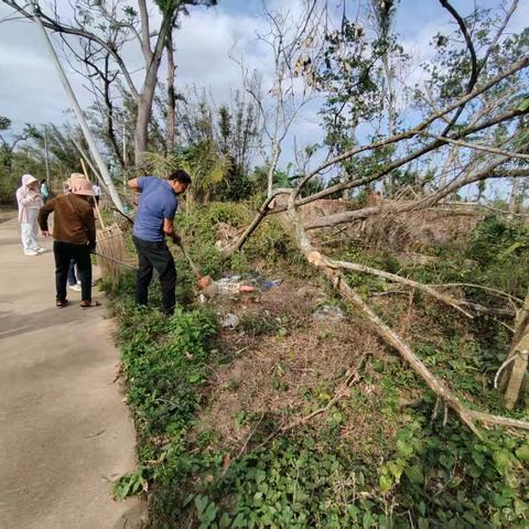 齐心协力，共建美好家园南山村开展4月份六水共治