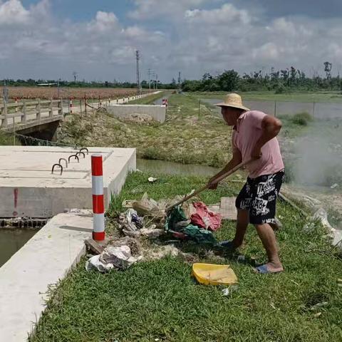 南山村开展东渠漂浮物打捞行动 助力“六水共治”