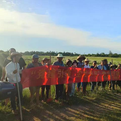 党建引领六水共治，共筑美丽乡村