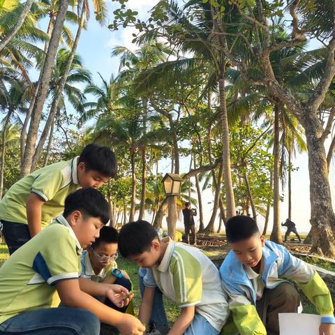 研学致远，梦想启航﻿ ——文昌市第三小学四年级七班快乐周末研学活动