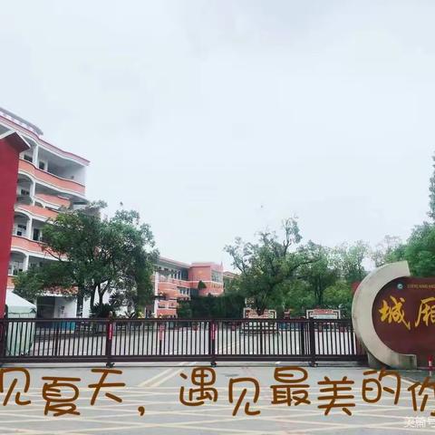 盛夏里的美好时光——城厢小学文丰校区三年级暑托纪实