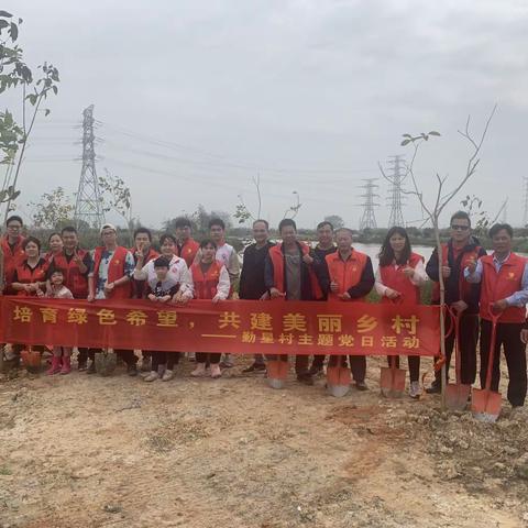 培育绿色希望，共建美丽乡村 —勤星村主题党日活动