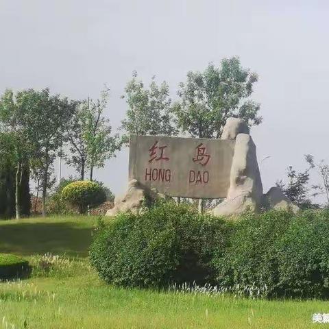 树木涂白迎寒冬☀️绿化养护正当时☀️