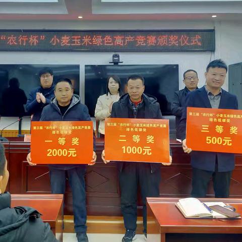 曲周县农民合作组织服务中心举行第三届“农行杯”小麦玉米绿色高产竞赛颁奖仪式