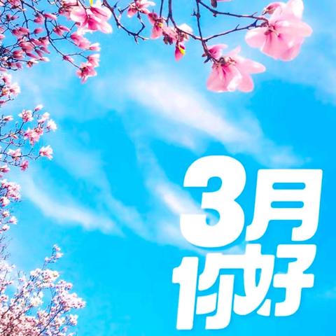 2025年度[济南市钢城区志愿者协会]三月份活动简报
