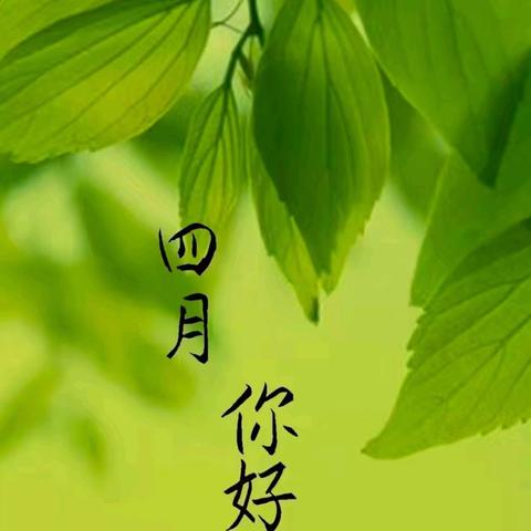 2025年度[济南市钢城区志愿者协会]四月份活动简报