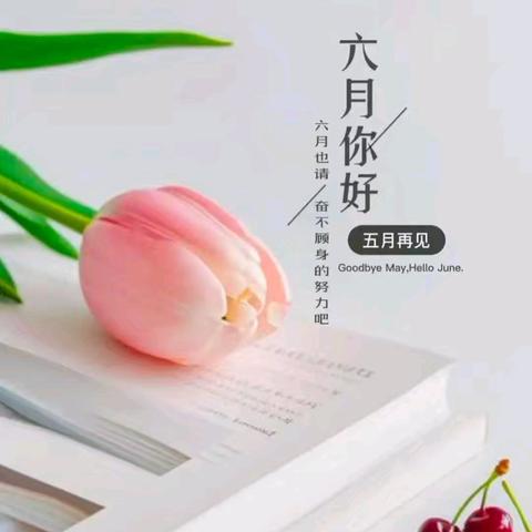 2025年度[济南市钢城区志愿者协会]六月份活动简报