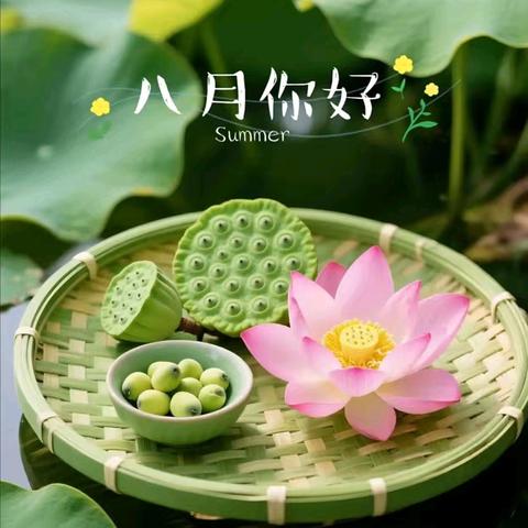 2025年度[济南市钢城区志愿者协会]八月份活动简报