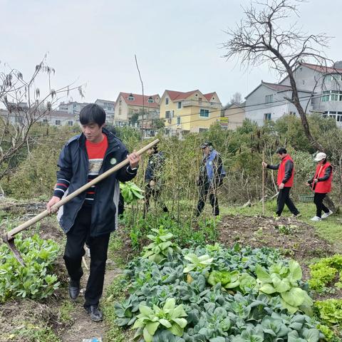 “万泓蔬菜园”春季播种土豆活动