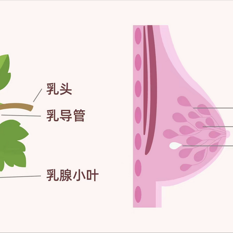 家门口“两癌筛查”发现“乳腺结节”，该如何处理？