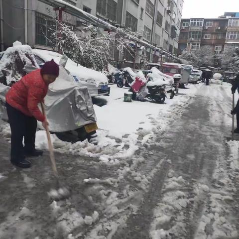 【三零创建】南桥街道新建社区开展扫雪除雪活动