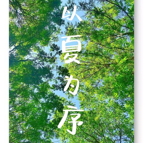 【银外·教研】以夏为序，以课为媒，共赴育人芳华——银川外国语实验学校教学开放日