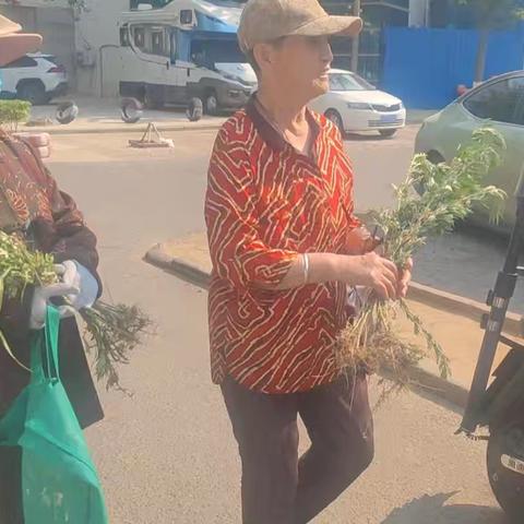 马山新城开展“我们的中国梦”文化进万家---悠悠艾草香,端午送安康活动