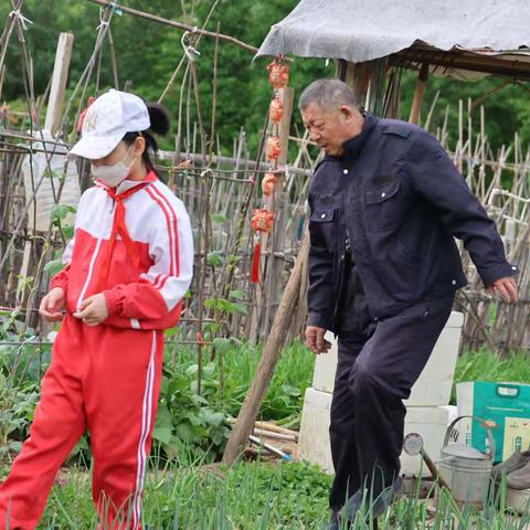 菜畦里的五线谱： 与泥土共谱的成长诗 ——五一田间手札