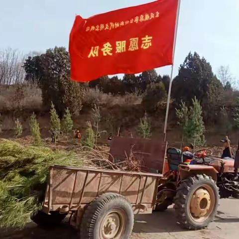 三月学雷锋，植树正当时