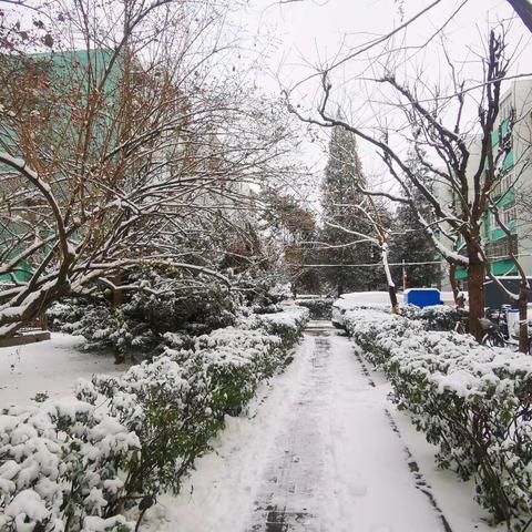 最美下雪天，最暖扫雪人