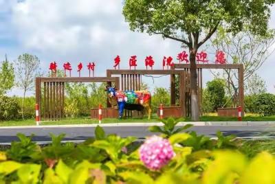 乡村振兴 文化传承——南汇外国语小学2022级13班细辛中队 雏鹰假日小队暑期实践活动