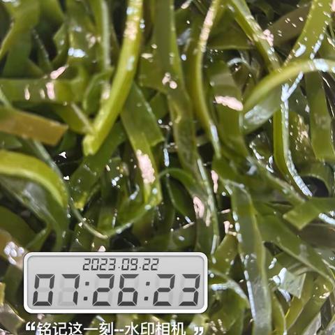 9.22宁波绿动体系安全日报