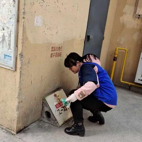 老鼠危害实不小，网格灭鼠齐行动