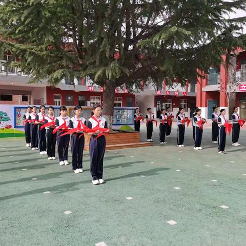 小小“松苗”勇逐梦，童心向党做栋梁——柏庄镇西街小学新队员入队仪式