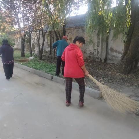 【产业高地  圣井街道】人居环境再提升乡村振兴添“亮色”——菜园村清理落叶杂草