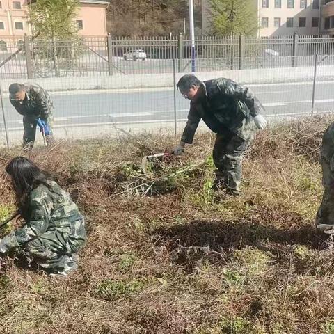 沙滩保护站开展苗圃地清理杂草志愿劳动